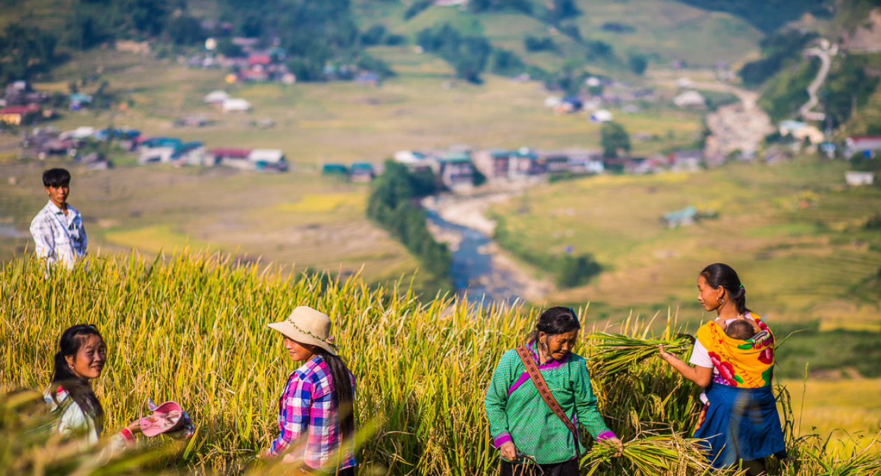 Sapa for sustainable travellers